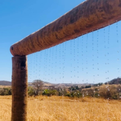 Captura de tela 2025-10-30 203519